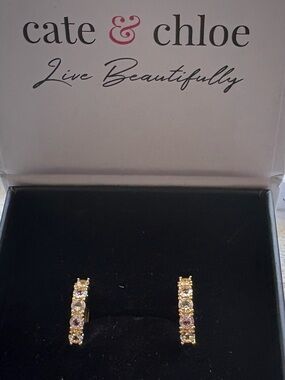 NWT Cate & Chloe Bethany Gold Hoop Earrings Swarovski Crystals 18K Gold Plated